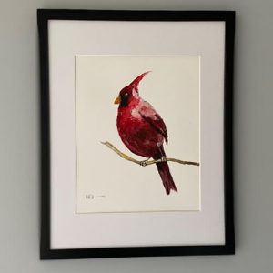 watercolor named Cardinal